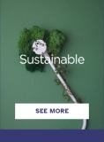 Sustainable